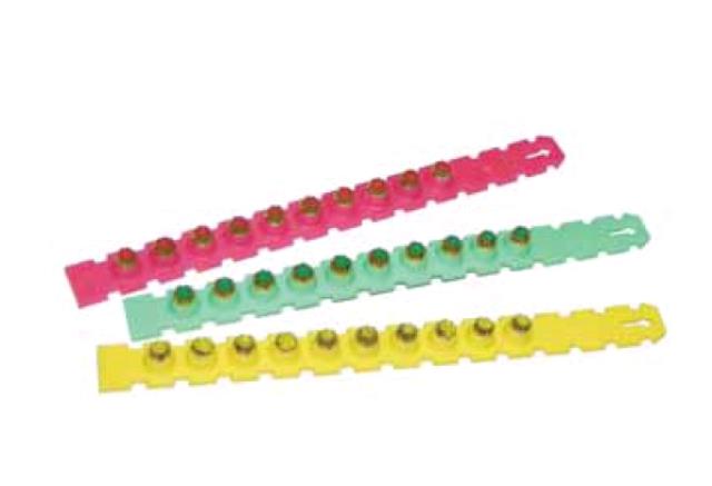 Where to rent STRIP LOADS STUD GUN  ALL in Hayden ID