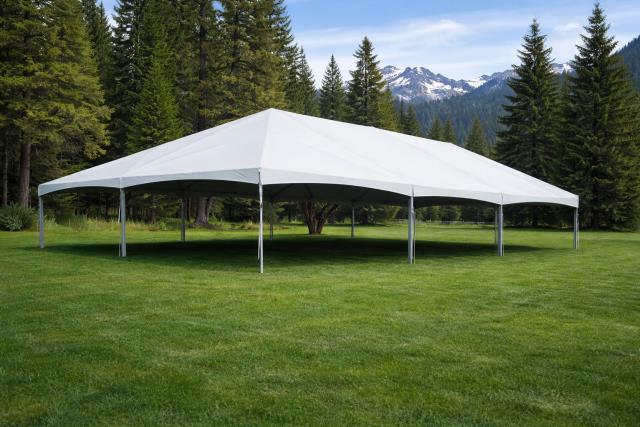 Where to rent TENT, TWINTUBE 40  X 80  WHITE in Hayden ID