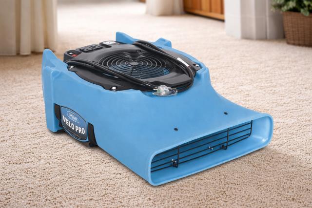 Where to rent CARPET FLOOR DRYER SLIMLINE in Hayden ID