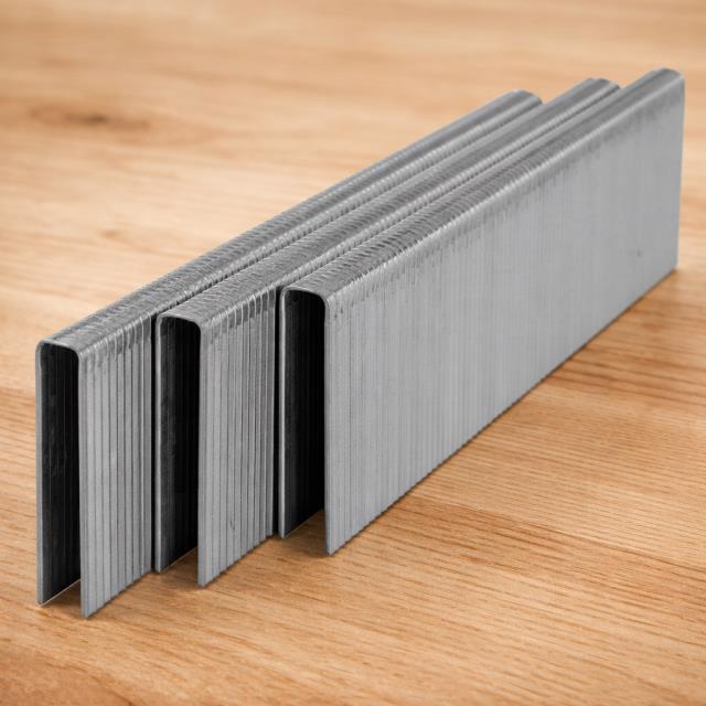 Where to rent STAPLE FLOOR 7 32X1.5   PER STRIP in Hayden ID